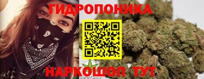spice Новокубанск